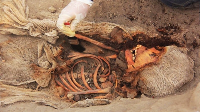 Chimu Civilization A Horrific History of Child Sacrifice2