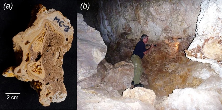Australian Megafauna Extinction Theory Challenged 2 Australian