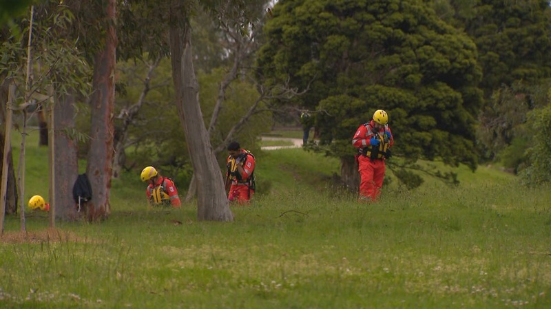 Dandenong