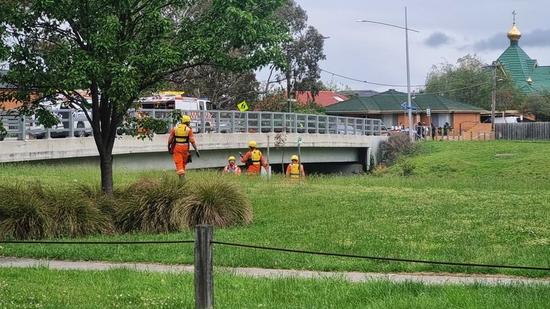 Dandenong1