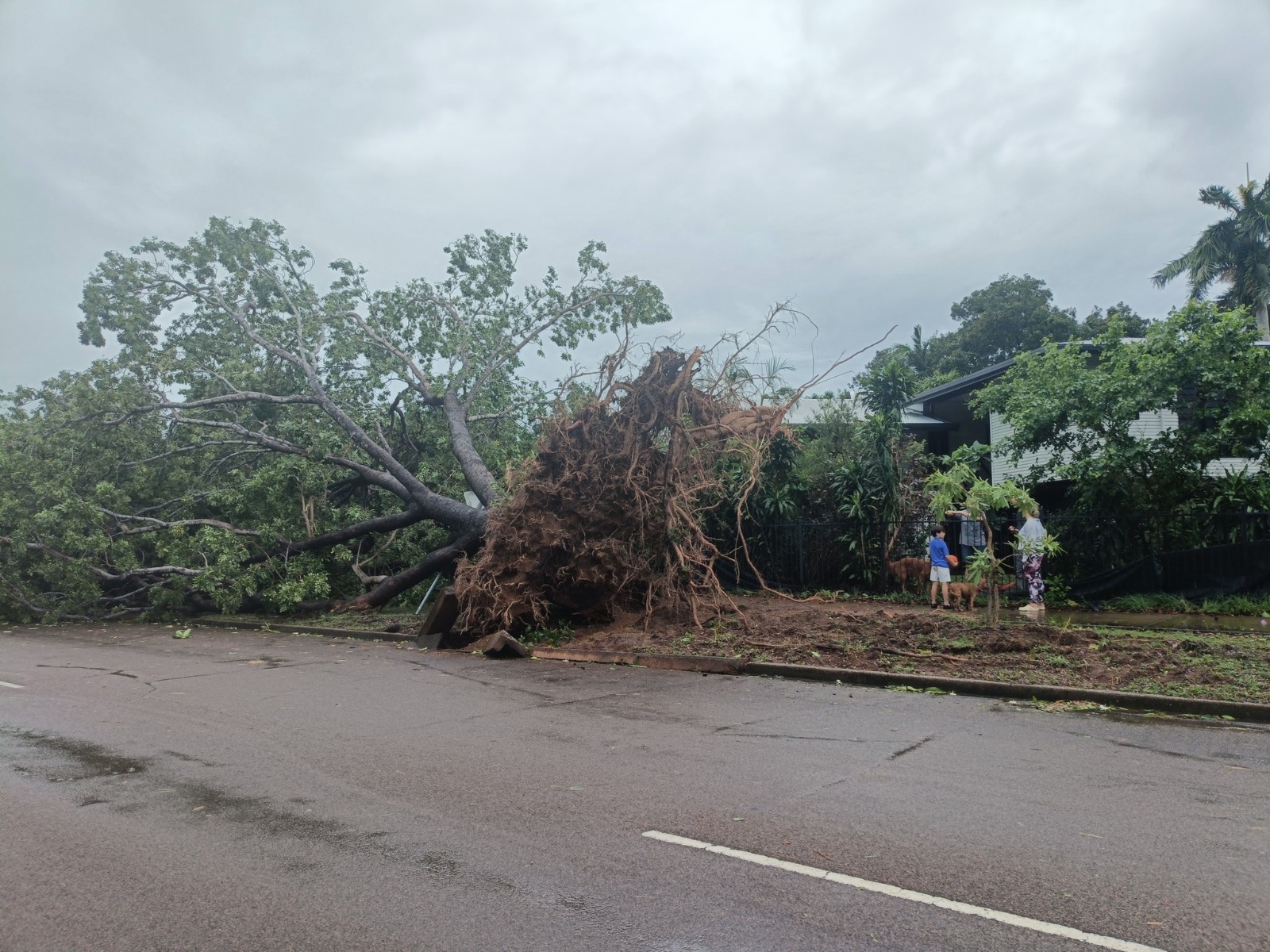 Northern Territory Devastated by Cyclone Fina 4 IMG 20251123 WA0012