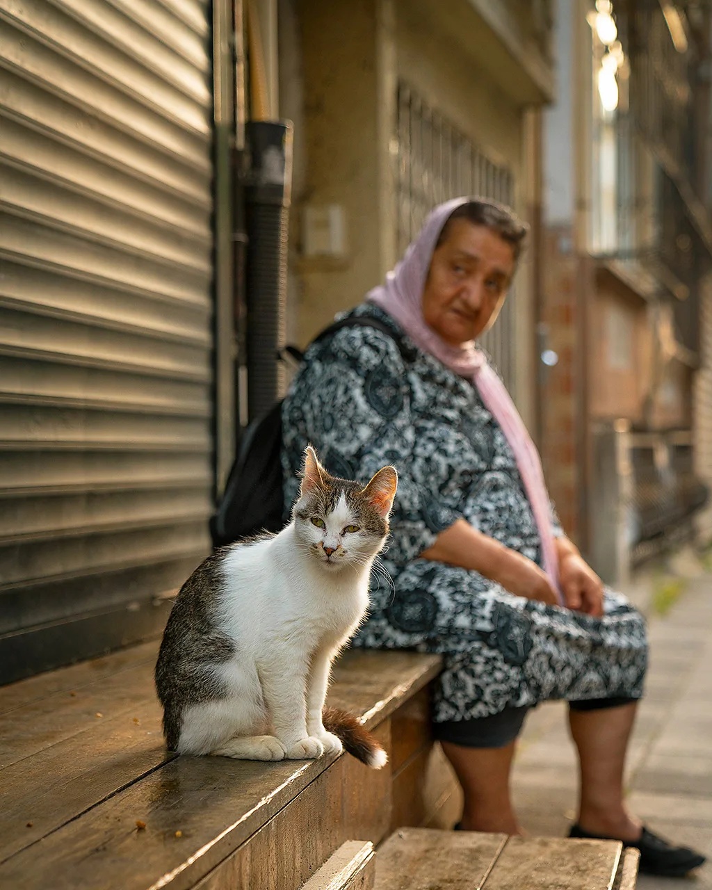 Locals happily coexist with the cats, leaving out food and water and treating them as part of the community