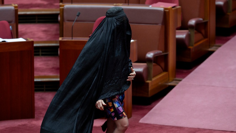 Senator