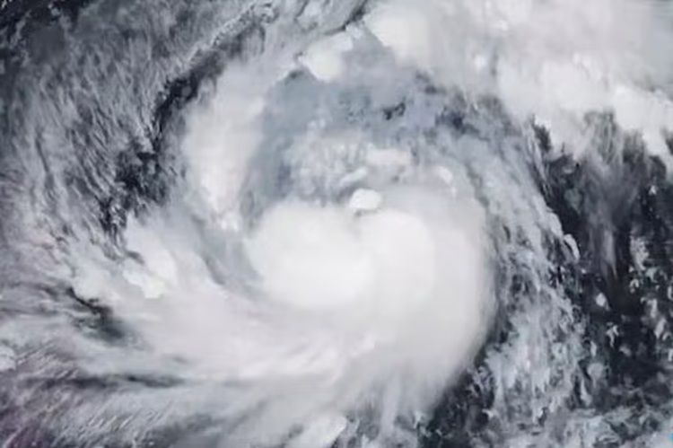 typhoon