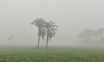 শীতে কাঁপছে চুয়াডাঙ্গা