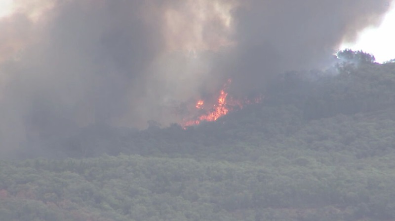 The Walwa bushfire has burned thorugh more than 1000 hectares of Mt Lawson National Park