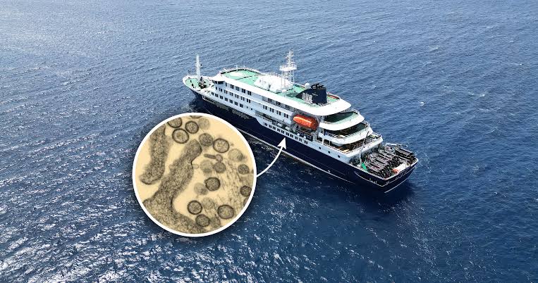 hantavirus