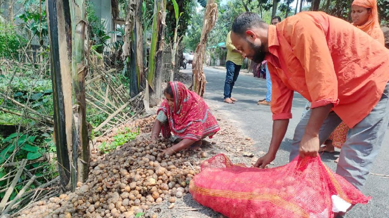 potato3 20260508141620