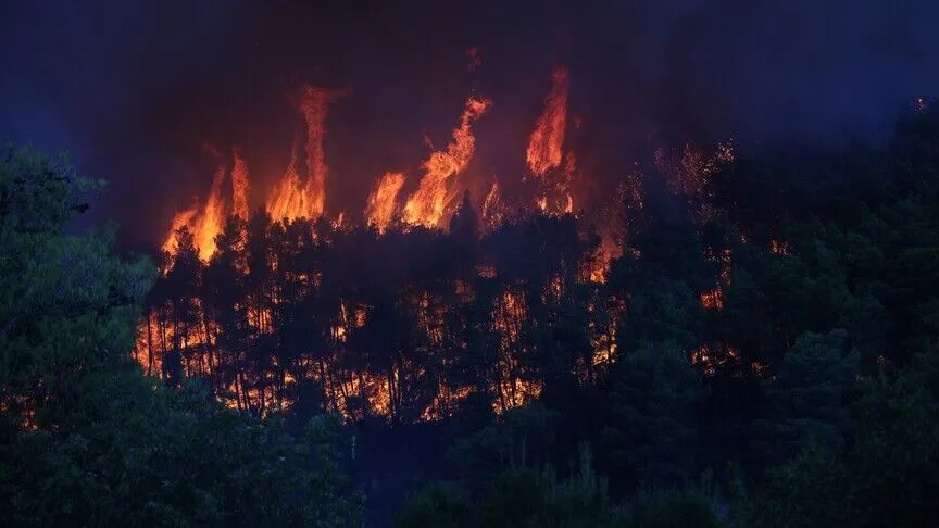 Washington wildfire
